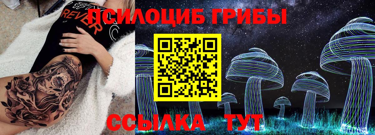 Псилоцибиновые грибы Psilocybe  Галлюциногенные грибы MAGIC MUSHROOMS  Альметьевск  наркошоп  Вход с VPN 